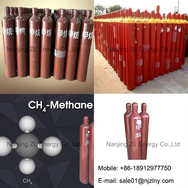 methane 260112 ZL ENERGY methane 260112 ZL ENERGY